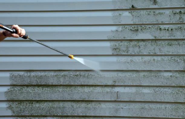 Animal Enclosure Cleaning in Le Roy, IL